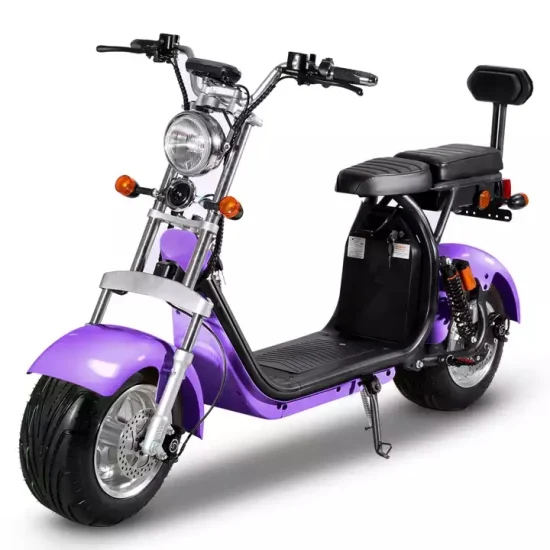 Citycoco Electric Scooter 2 Wheel with Fat Tire Popular 2000W 60V CE with Removable Lithium Battery 1500W