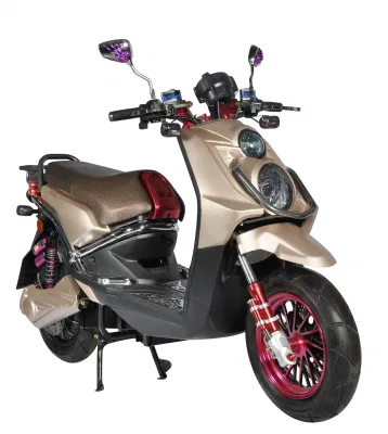 50~80 Km/H High Speed Motorbike Electric Scooter