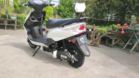 Vimode E Bicycle Long Range Electric Fat Bike 2000W Electric Scooter Vespa Model Industry Electrical off Road Mobility Scooter