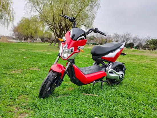 1200W Powerful Motor Electric Motorcycle Motorbike Scooter 60V/72V Battery 50km/H Long Range Xzj