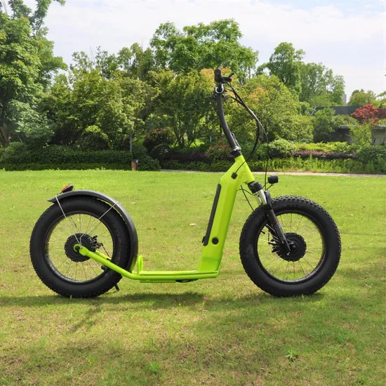 Manufacture 42km/H 500W/1000W Dirt Bike Scooter Powerful Long Range Beach Adult E