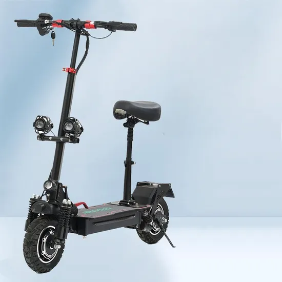 New Model France Electric Scooter 48V 1000W Ultra