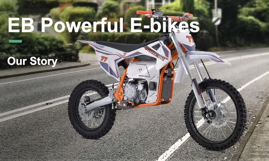 Electric motor motorcycle 3KW 5KW 10KW 72V 120kmh gear less with hub motor