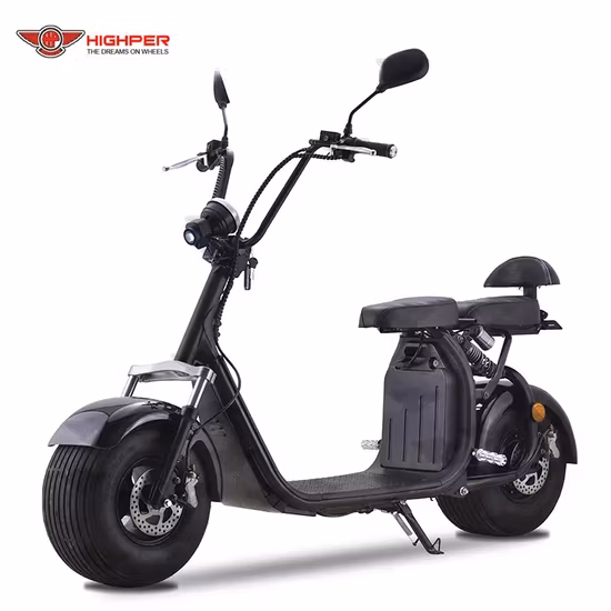 Best Selling Products Scoter Electric Scooter 1000W