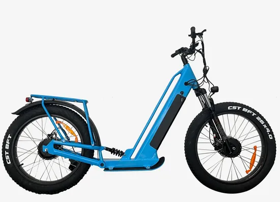 OEM 750W Dual Motors E