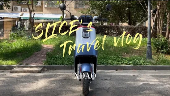 1500W Wholesale Adult Electric Scooter for Urban Mobility EEC 