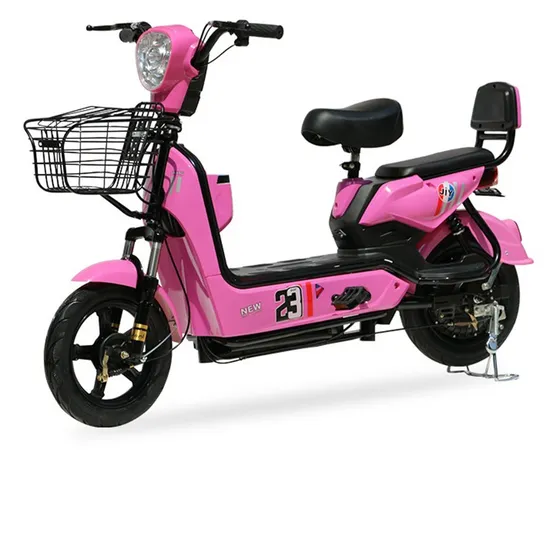 The Electric Scooter with Two Separate Seats Is Equipped with 500W Motor 12ah Lead