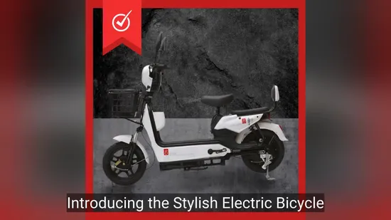 Kds DC04 Elagship Electric Scooter/Electric Bicycle, Detachable Seat, Commuter Electric Scooter