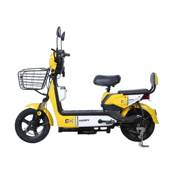 2023 Cheap Motor Bike Mobility Scooter Electric Motorcycle for Sale