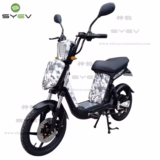 2 Wheel 500W Electric Scooter Electric Mobility Scooter with 48V12ah Lead
