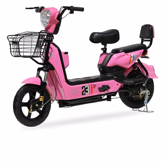 The Electric Scooter with Two Separate Seats Is Equipped with 500W Motor 12ah Lead