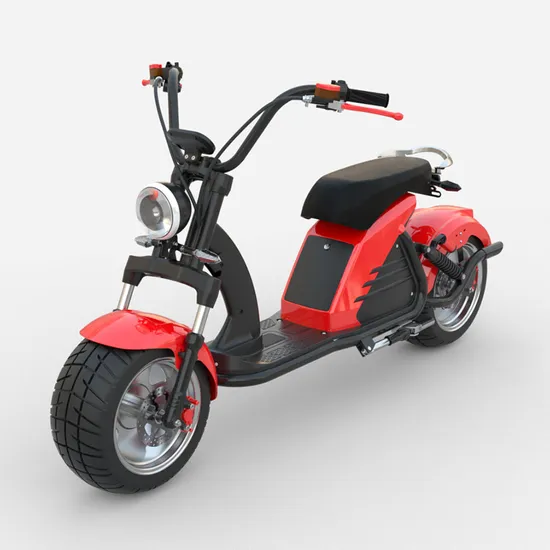 2023 New Arrival Citycoco EEC/Coc Chopper Electric Scooter 3000W Motor 60V 20ah/30ah with High Speed 70km/H