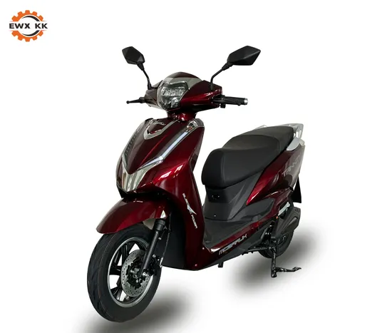 Electric Scooter Kk