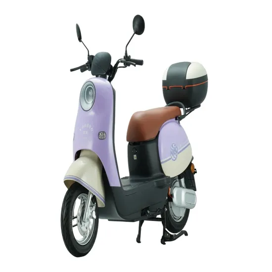 800W 60V/72V One