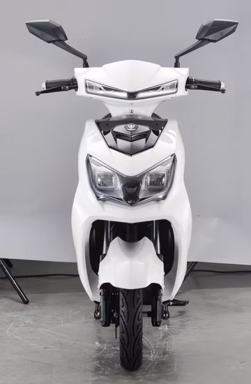 Promotion 800W Classic Electric Scooter with Lead Acid Battery