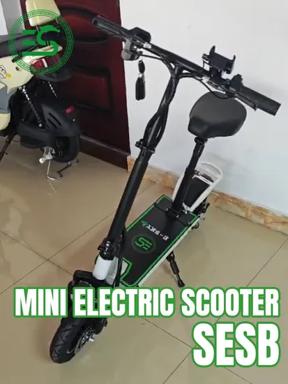 CE Certification Electric Scooter 48V12ah Lithium Battery China Manufacture 250W/350W 2025 New style 