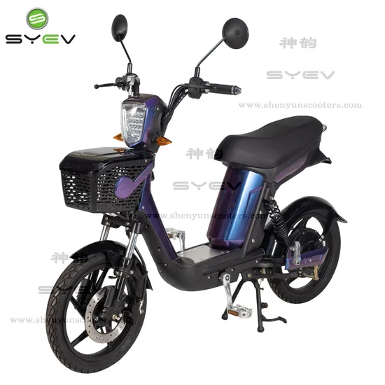 2 Wheel 500W Electric Scooter Electric Mobility Scooter with 48V12ah Lead