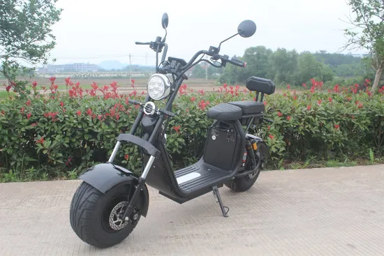 Fat Boy High Speed Widewheel Front Bag Moto 1500W 2000W 3000W Electrica Electric Motorcycle Scooter Citycoco 