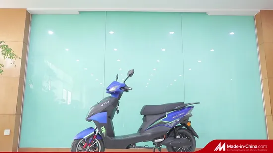 Long Range 2 Wheel Electric Bike Motorcycle Cheap Delivery EV Fold Electric Motor Scooter 