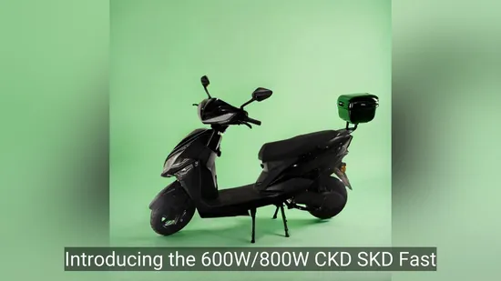 Electric Motorcycle Cheap Adult Electric Motorcycle Scooter 200kg Load Scooter Electric Motorcycle Adult Motorcycle