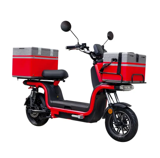 Wuxi Shenyun Factory Wholesale 2 Two Wheel Sy