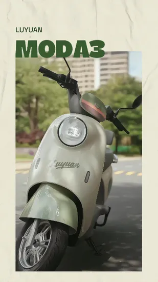 Electric Scooter LUYUAN MODA3 Plus MOK Lead acid/Graphene 1500W/600W 42