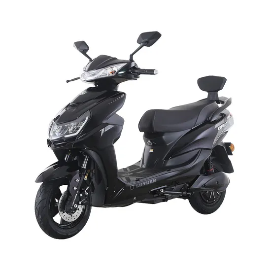 MNK3 Plus Electric Motorcycle Lead acid/CSP 1500W LUYUAN electric scooter electric vehicle Red 